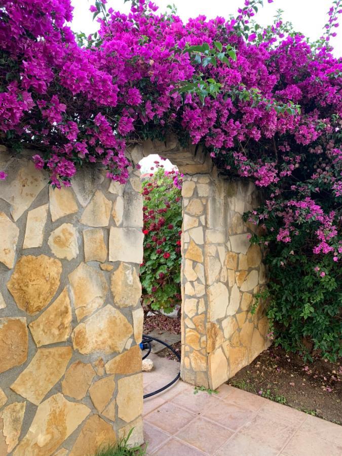 Villa Sunlight Sardegna Capitana Exteriér fotografie